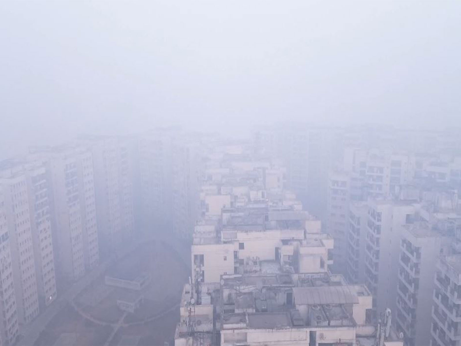 Visual from AIIMS as dense fog and cold wave grips the national capital (Photo/ANI)