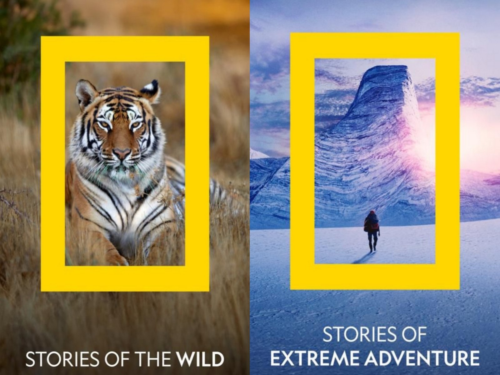 National Geographic's 'Stories That Spark Wonder' (Photo/National Geographic press release)