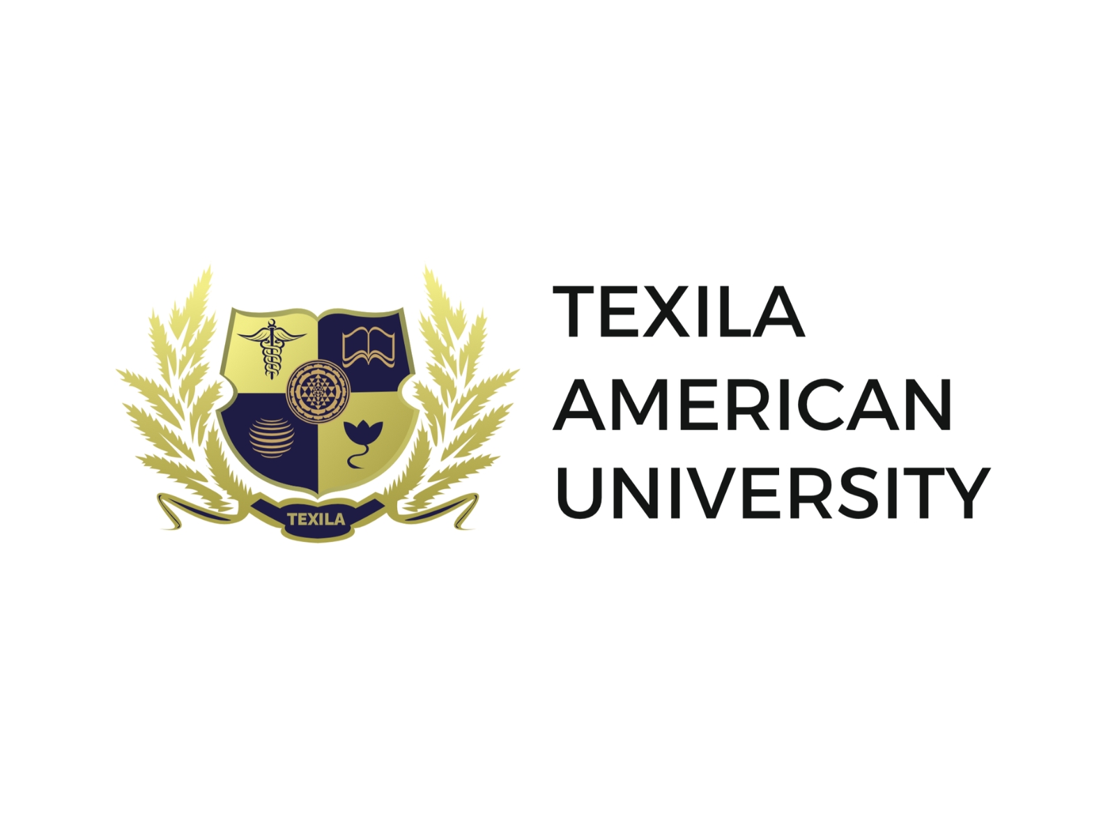 Inside Texila's Approach to Accredited Medical Education in Guyana