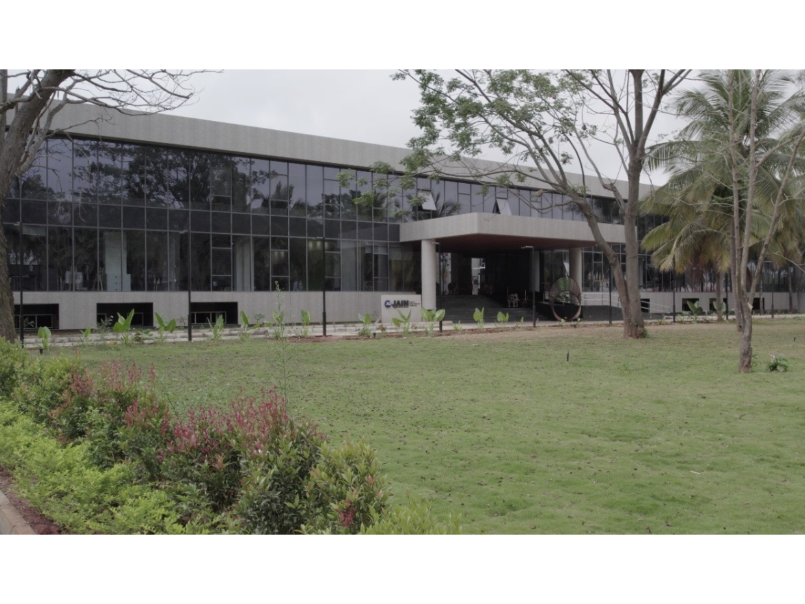 Design That Thinks, Feels, and Leads: Inside the M.A. Communication Design Program at SDMCA