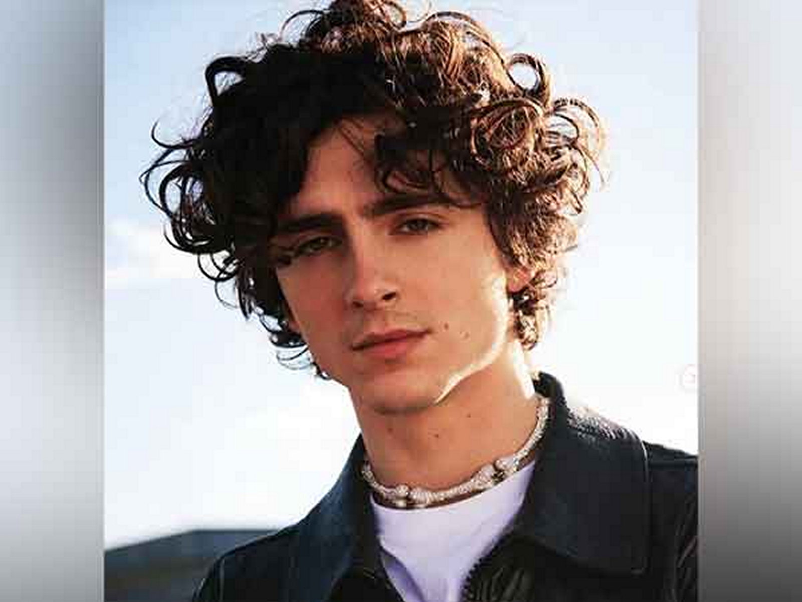 Timothee Chalamet (Photo/Instagram@tchalamet)