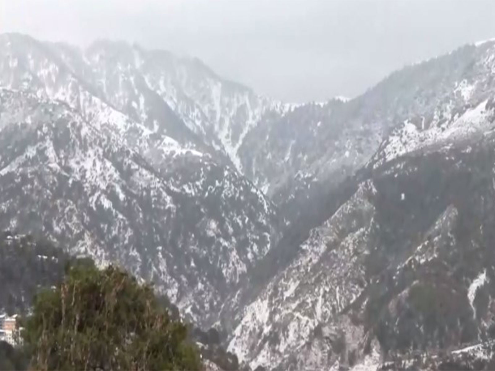 Visuals from Dharamshala after snowfall (Photo/ANI)