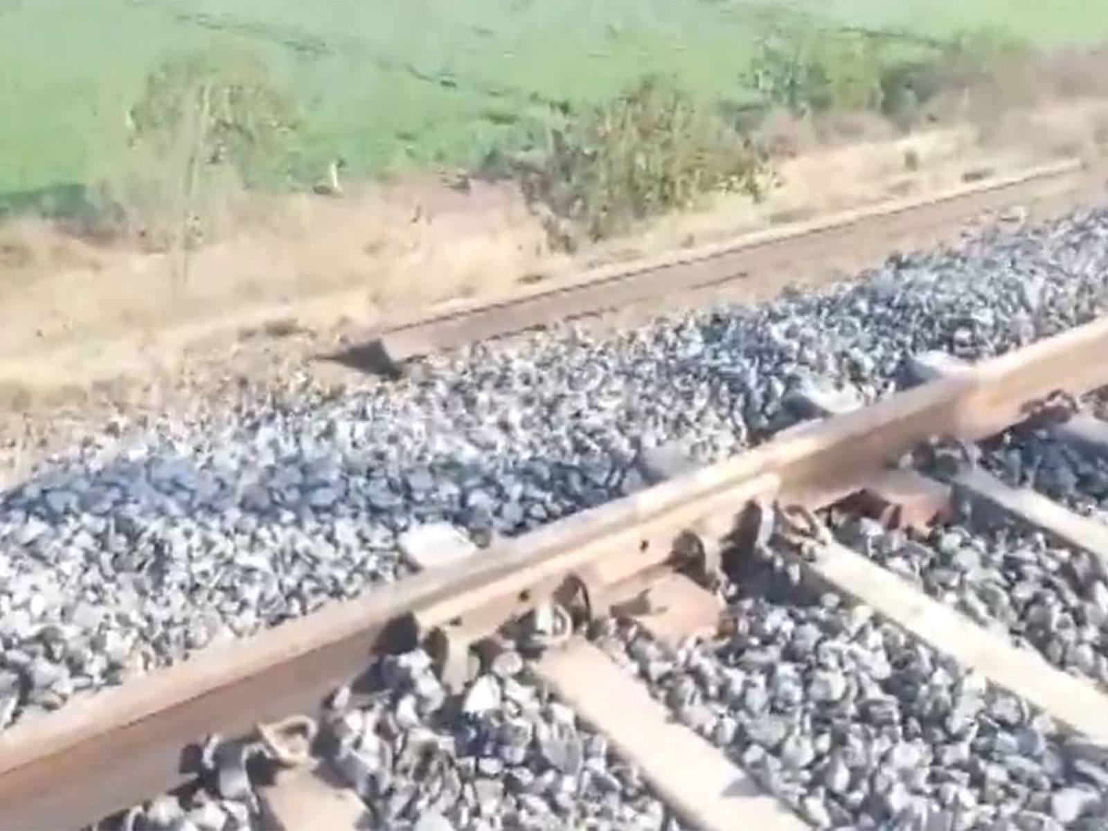 Visual from the spot (Photo/ANI)