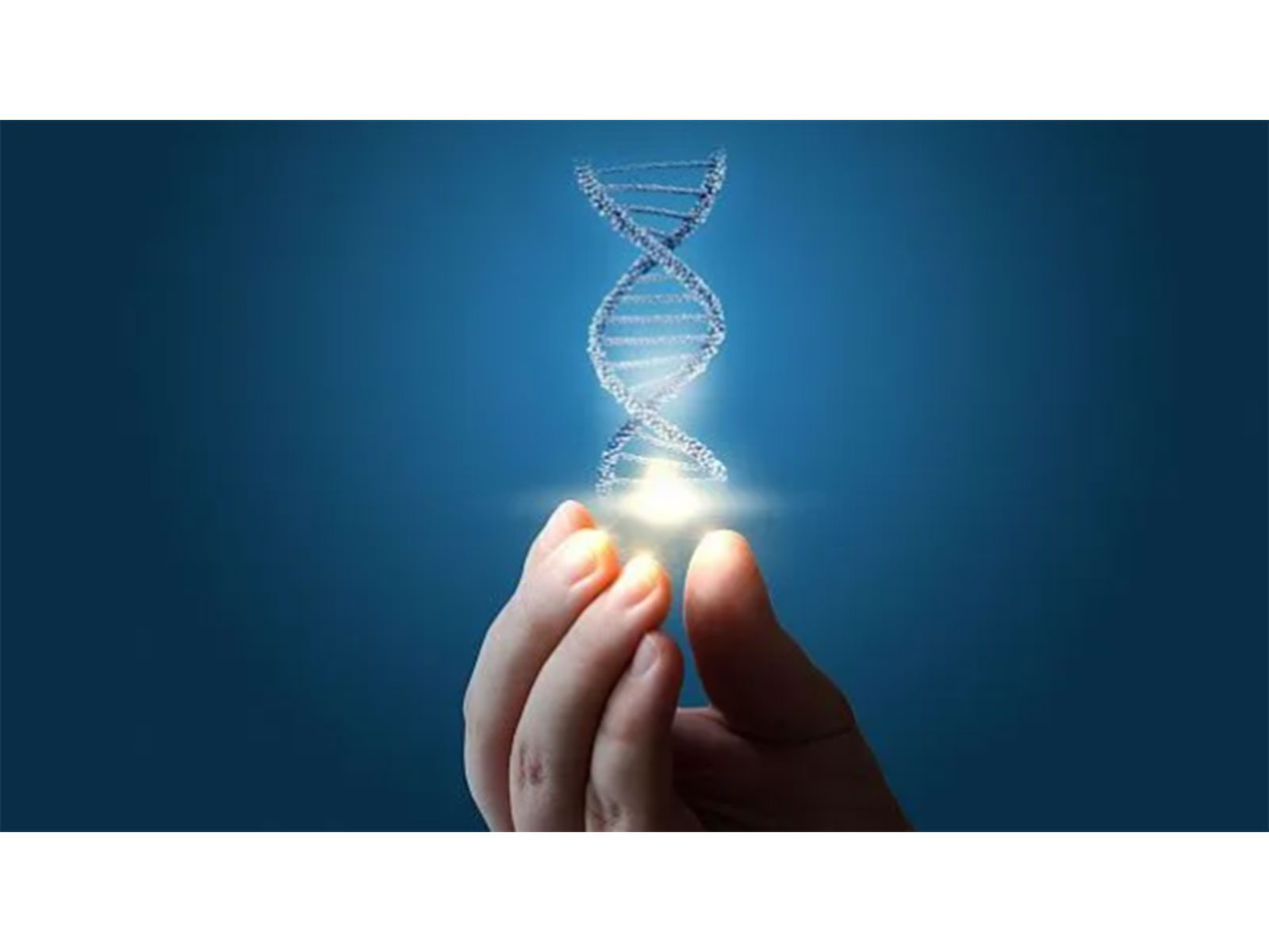 Representative Image (Photo/Reuters)