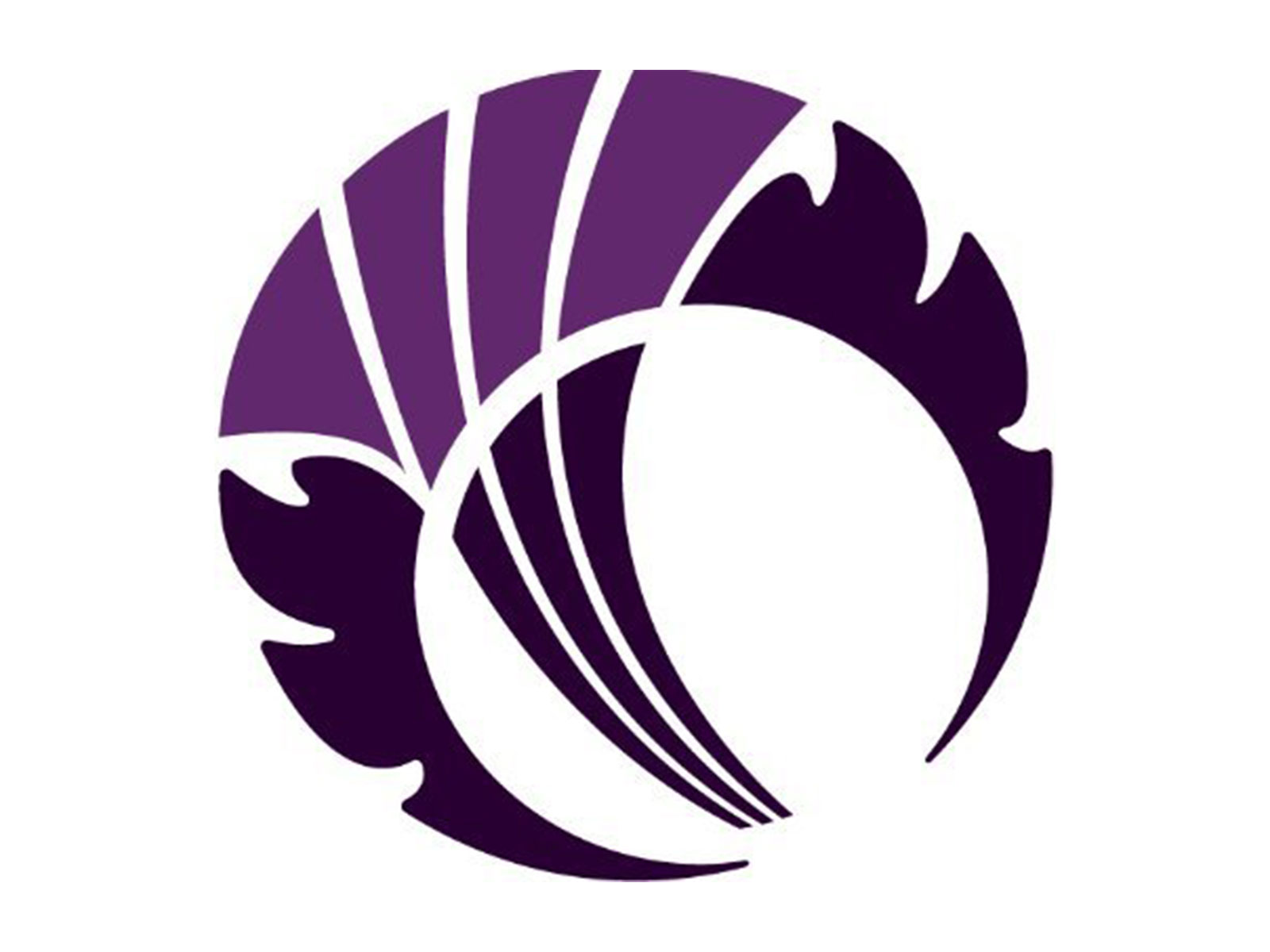 Cricket Scotland logo (Photo: X/@CricketScotland)