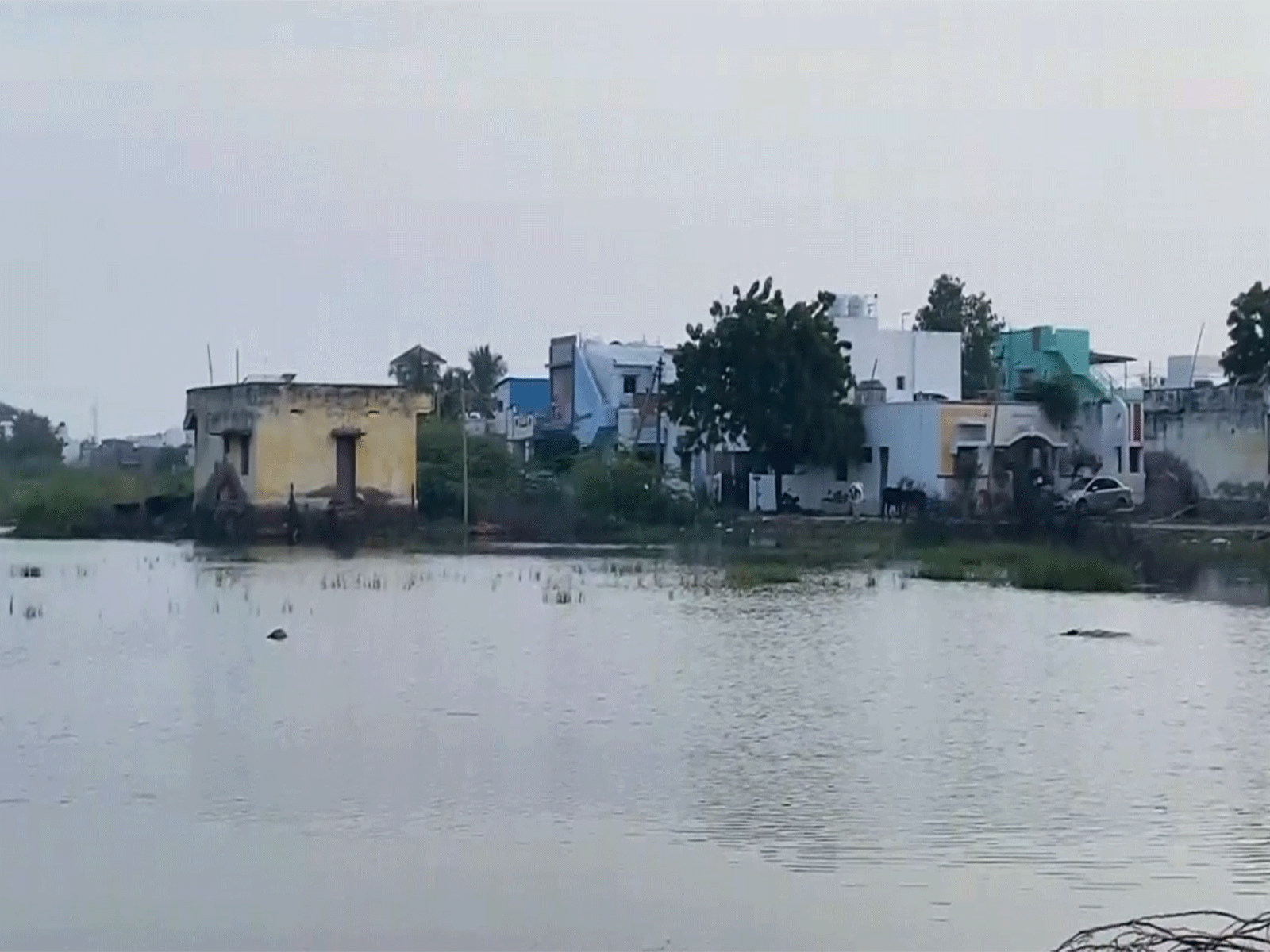 Tamil Nadu: Rainwater stagnation in Thoothukudi (Photo/ANI)