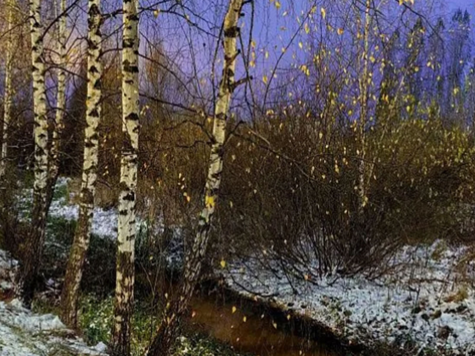 Representational Image (Photo/TV BRICS)