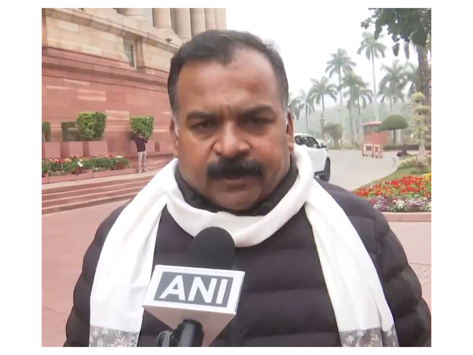 Congress MP Manickam Tagore (Photo/ANI)