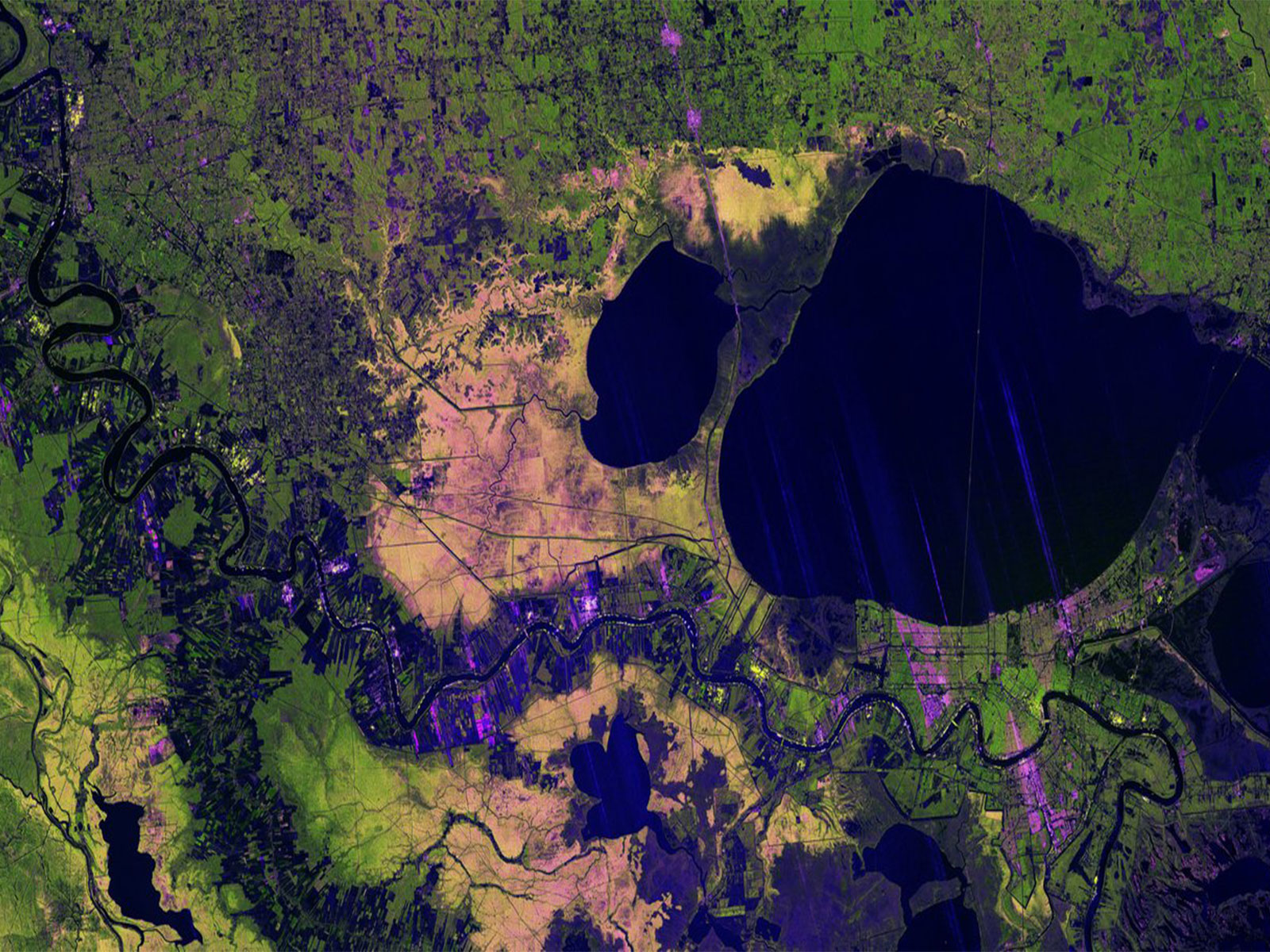 Image captured by NISAR’s L-band SAR instrument on November 29, 2025, with colours indicating different land cover types. (Image Source: NASA)