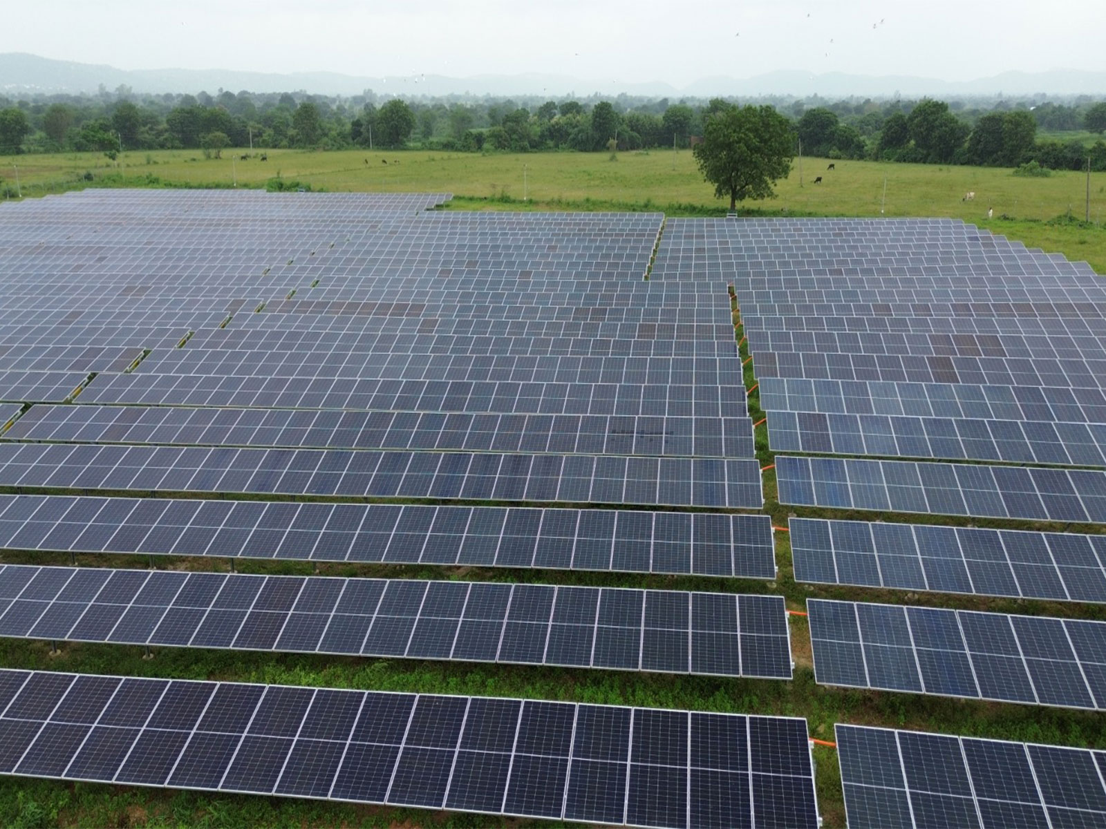 Gujarat has emerged as a leader in solar energy, with 25529.40 MW of installed capacity as of Dec 2025. (Pic/Gujarat CMO)