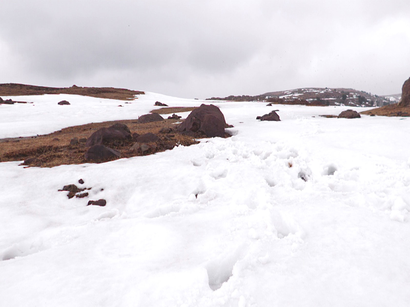 A view of a snow-covered area after a fresh spell of snowfall, in Udhampur (Photo/ANI)
