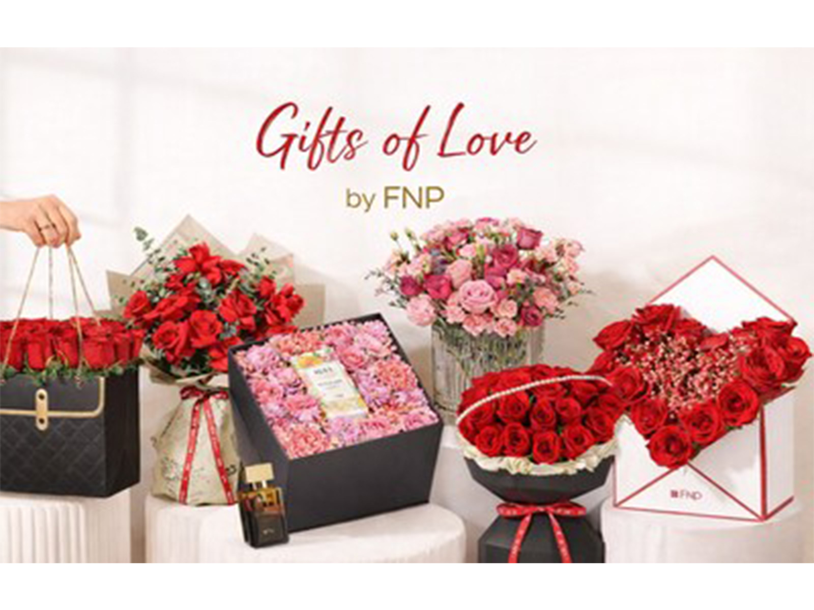 FNP launches its Valentine's Day collection, bringing together timeless roses and thoughtfully curated gifts to make every love story bloom.