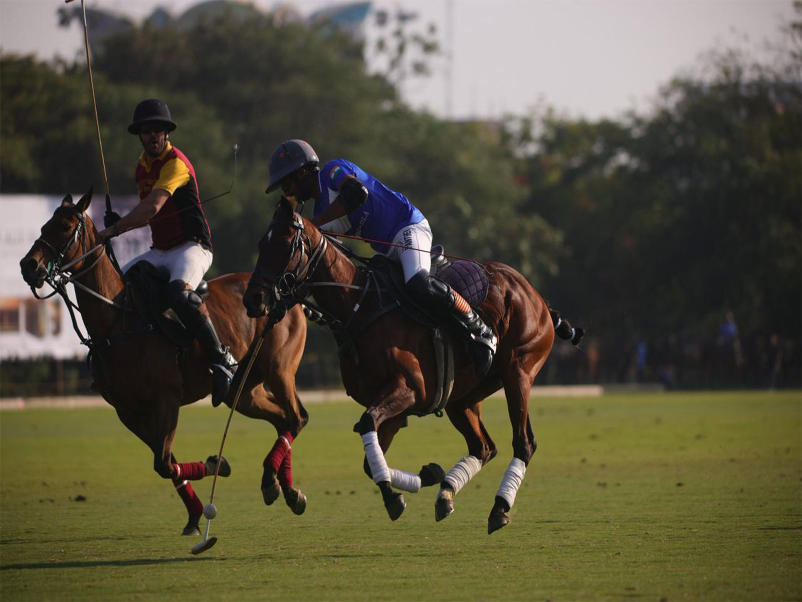 Polo players in action. (Photo: Jindal Bedla)