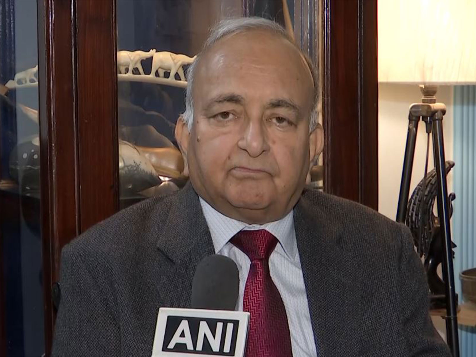 Foreign Affairs Expert Mahesh Sachdev. (Photo: ANI)