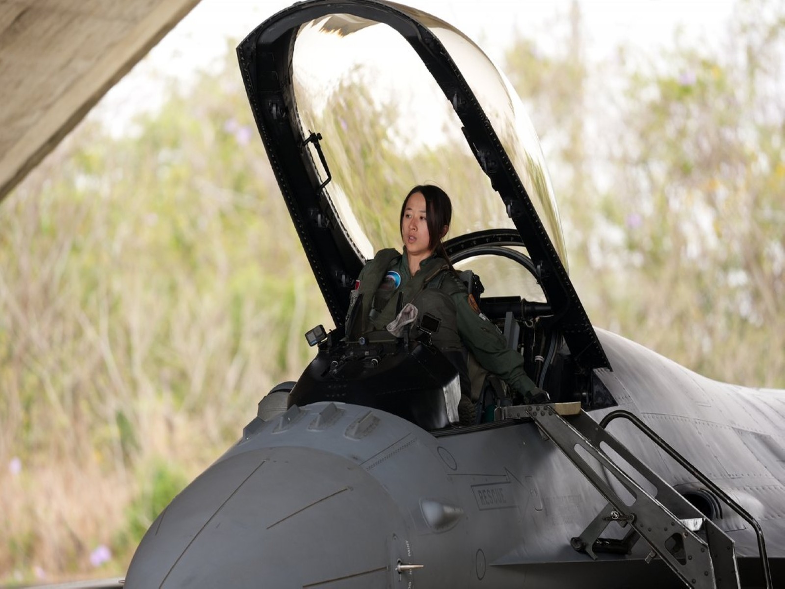 Representative image (Photo: X@MoNDefense)