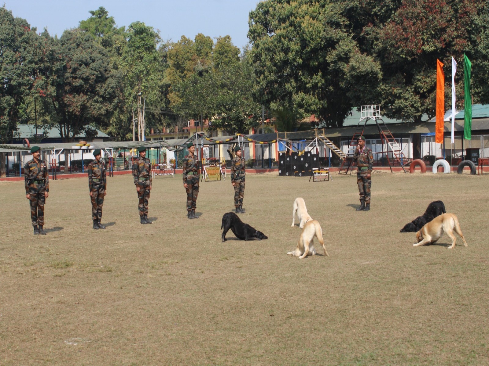 Assam Rifles showcases prowess of its canines at Jorhat  (Photo/X/@official_dgar)