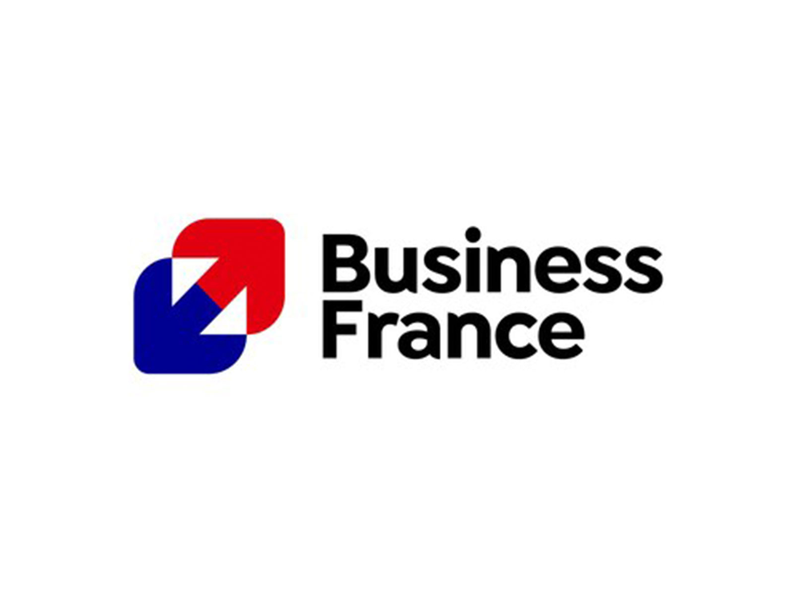 Business France Logo