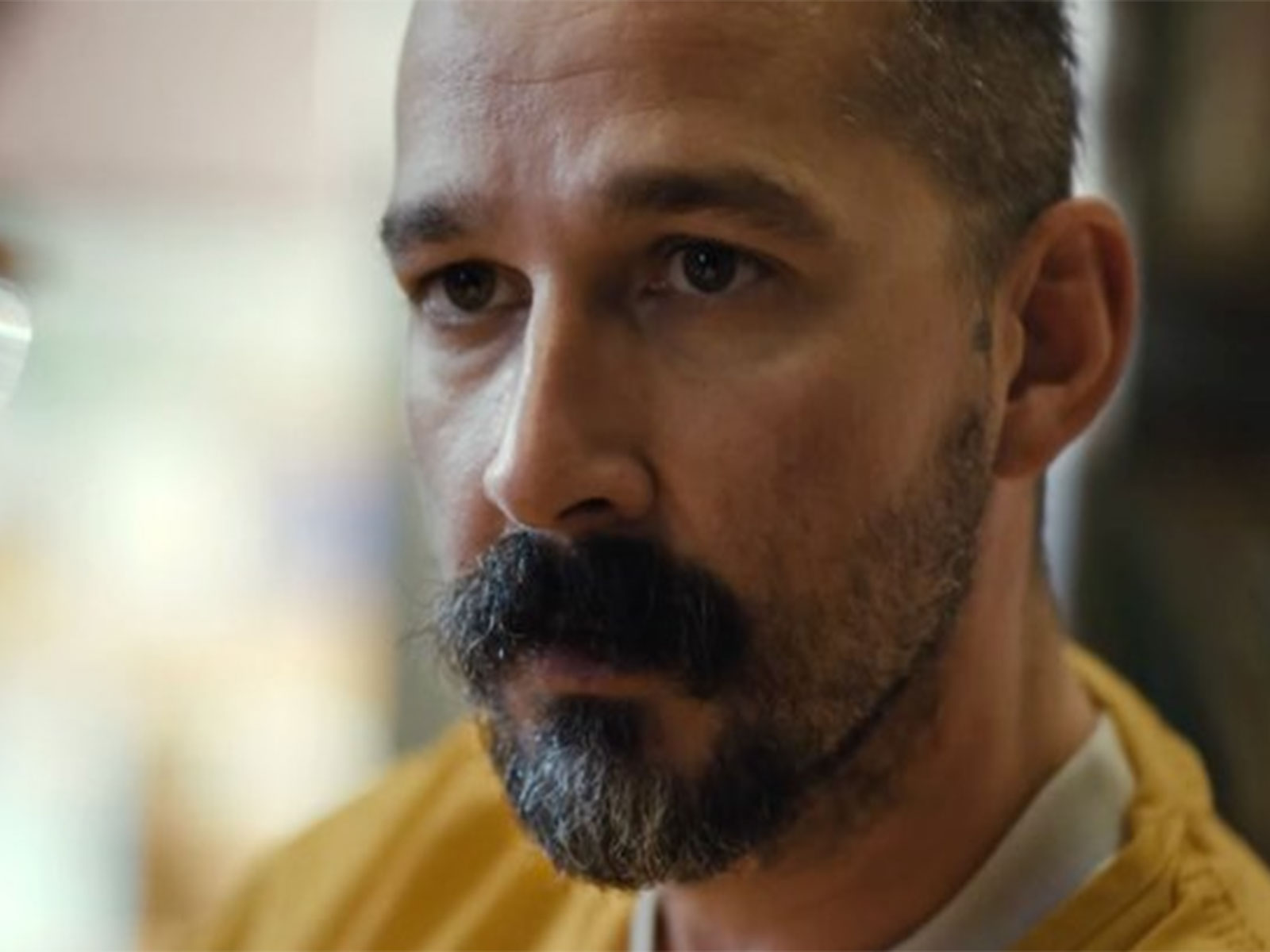 Shia LaBeouf (Photo/X/@thecampaignbook)