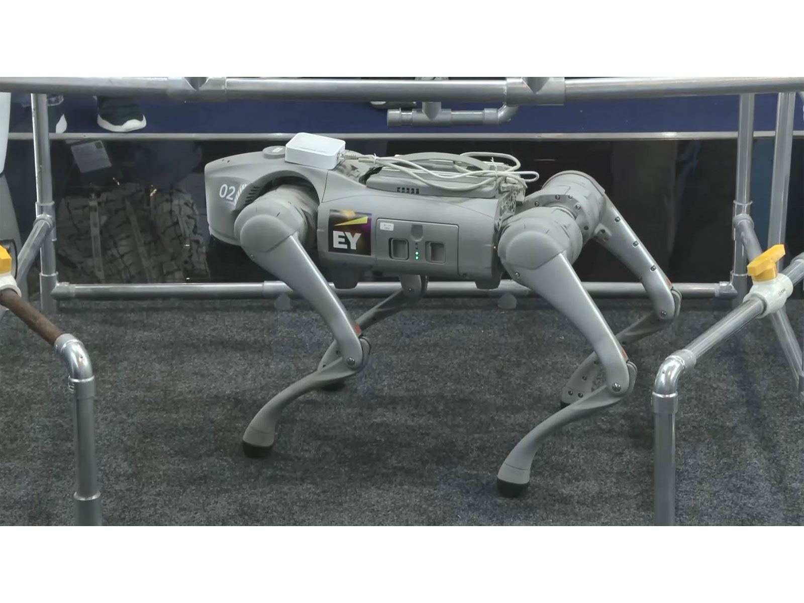 'Scout', an autonomous robotic inspection system, draws attention at the EY booth in Hall 1 of Bharat Mandapam during the India AI Impact Summit 2026 in New Delhi. (Photo/ANI)