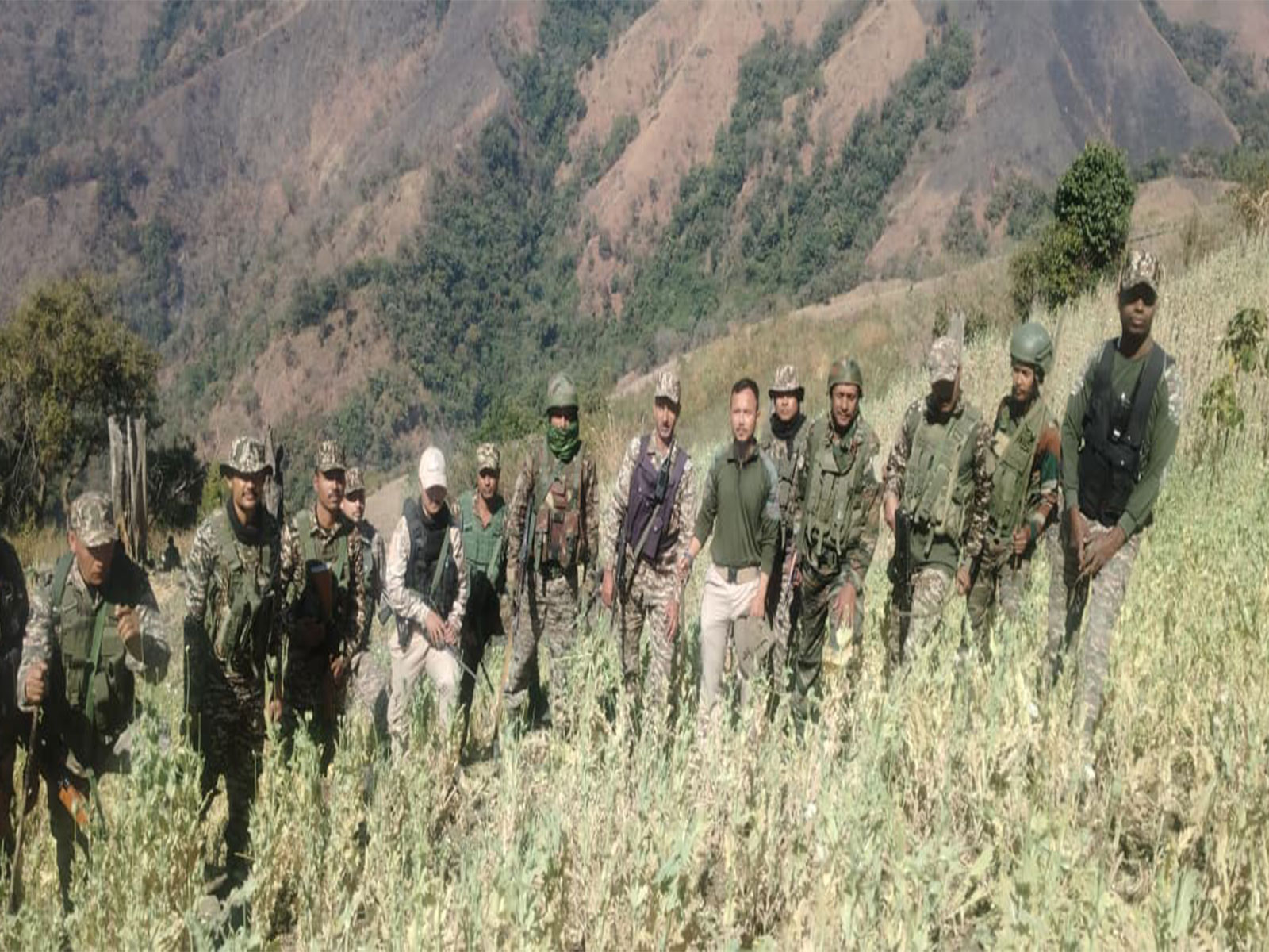Assam Rifles destroy illicit poppy cultivation in Kangpokpi, Manipur (Photo/HQ IGAR (EAST))