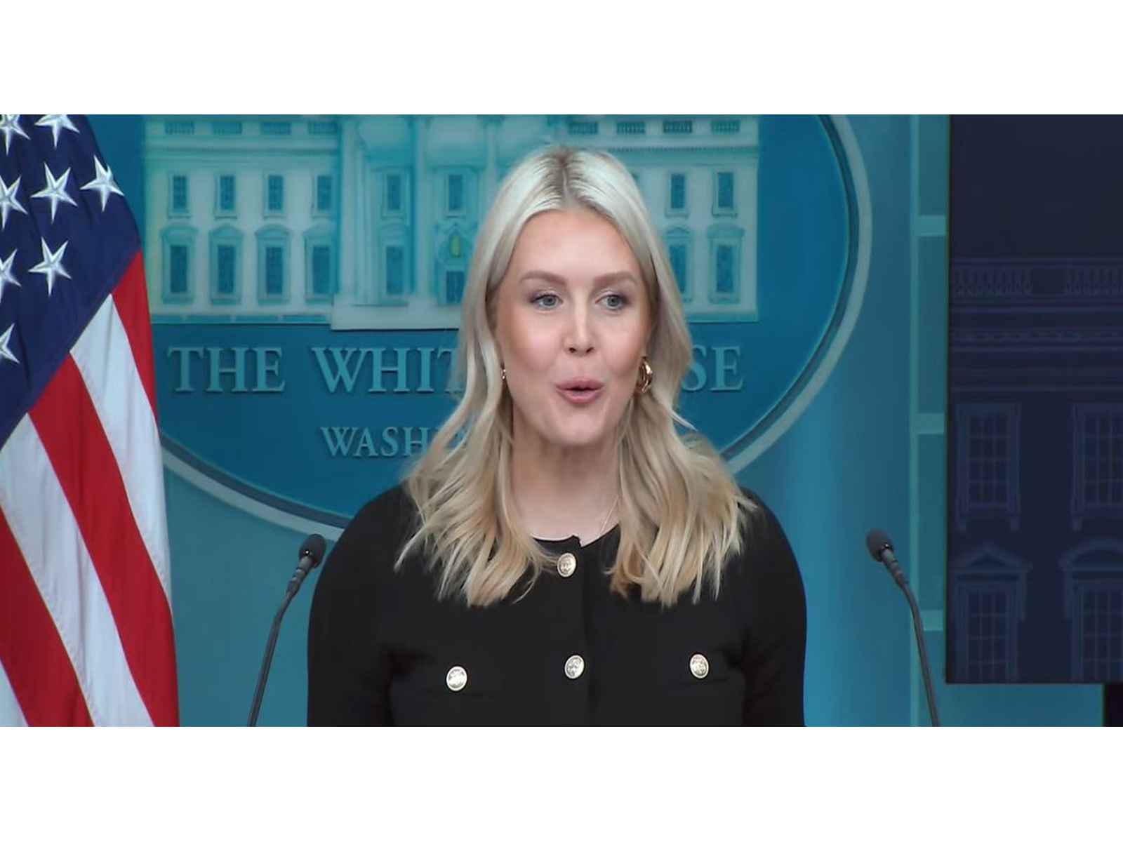 White House Press Secretary Karoline Leavitt (Photo/White House YouTube)