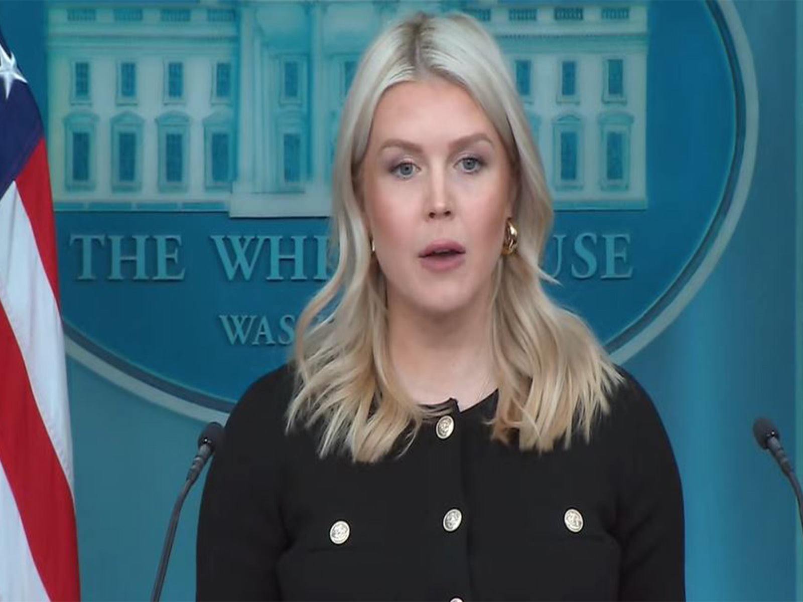 White House Press Secretary Karoline Leavitt (Photo/White House YouTube)