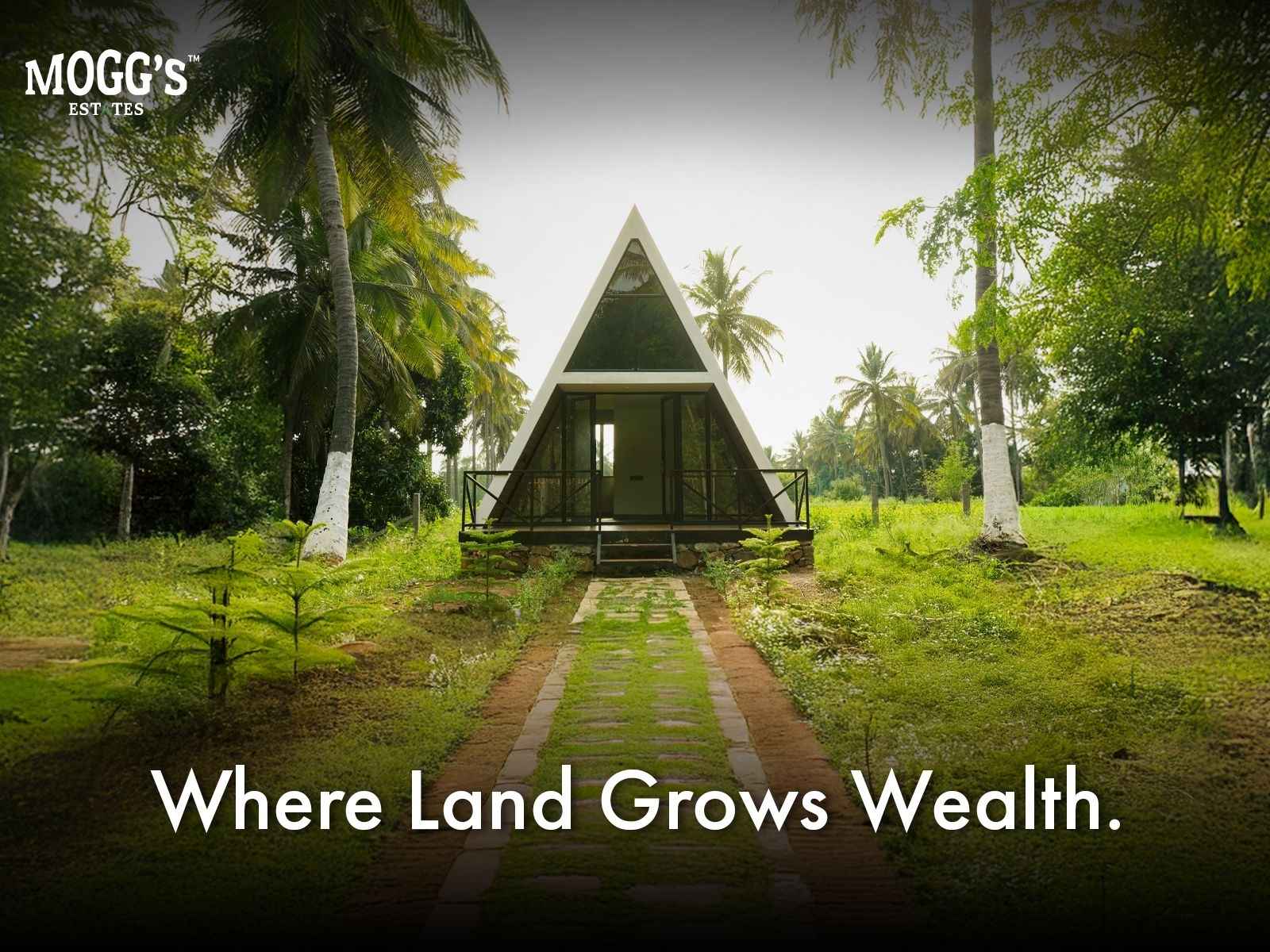 Why Mogg's Estates Is Setting the Benchmark for Managed Farmland Investment in Karnataka