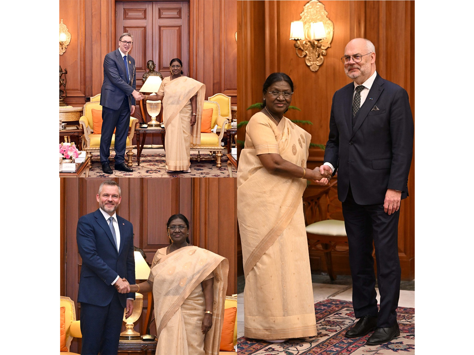 President Murmu holds talks with leaders of Estonia, Slovakia, Serbia (Photo/PIB)