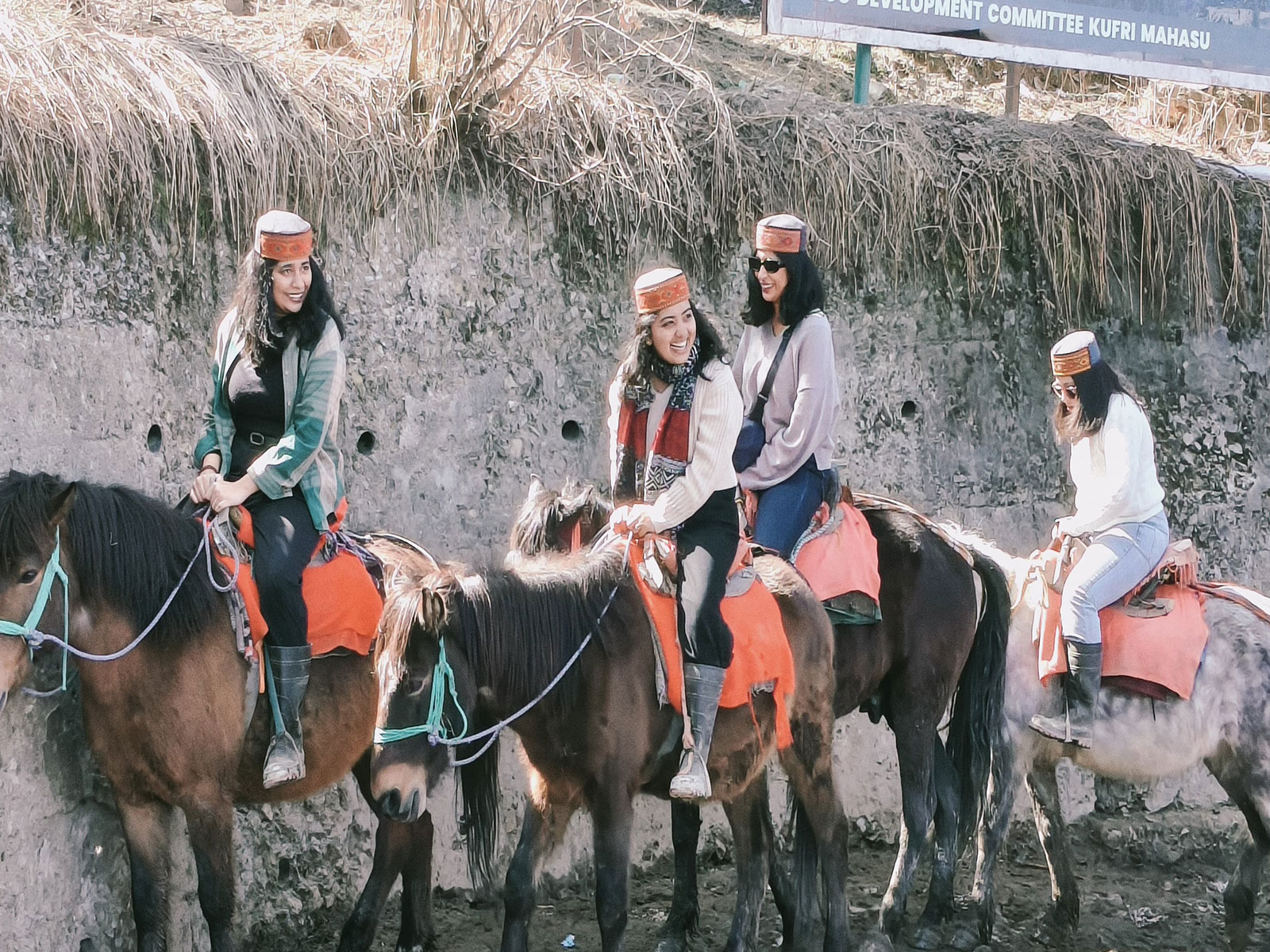 Tourists enjoying horse riding in Kufri, Himachal Pradesh (Photo/ANI)