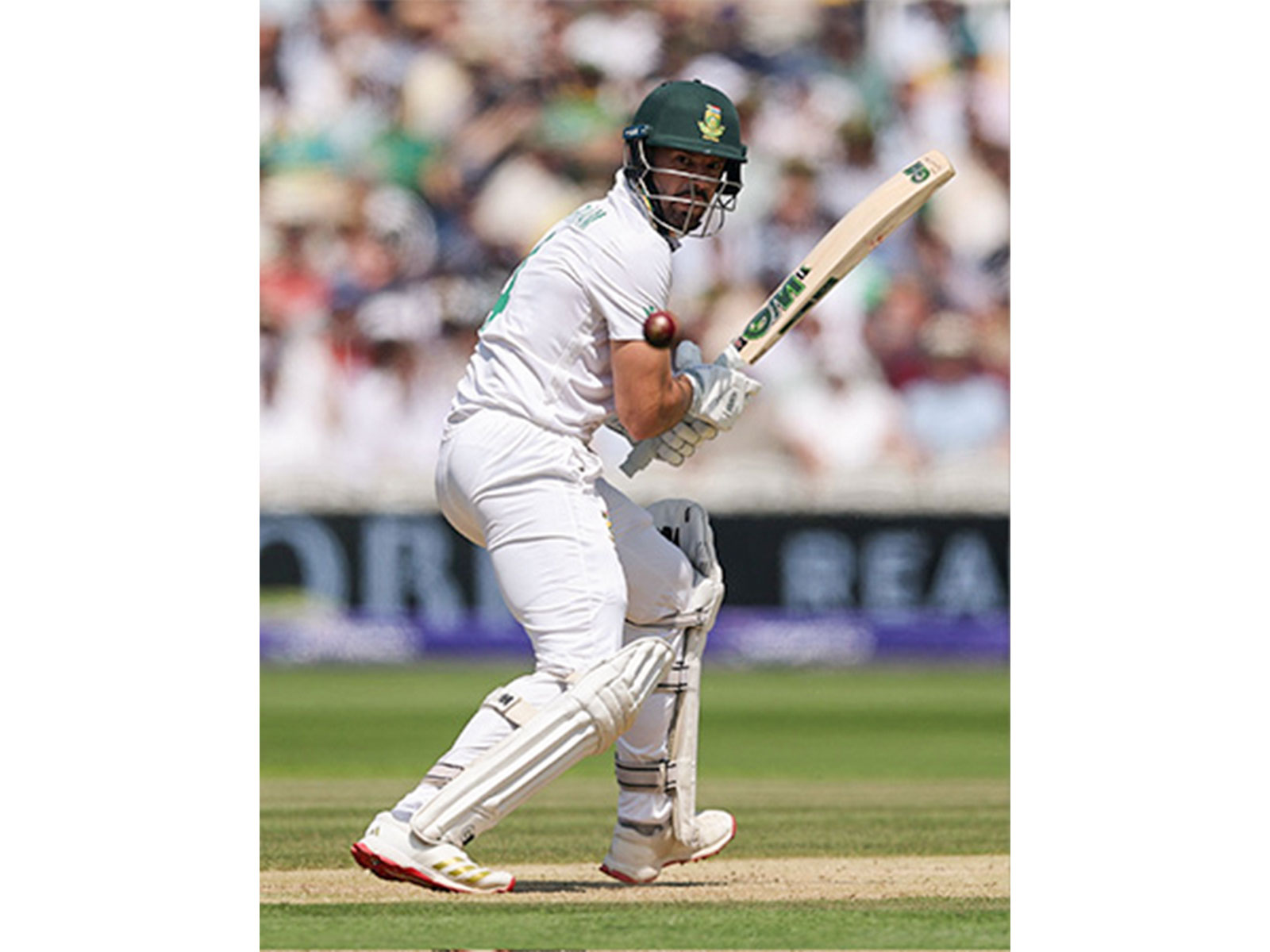 South Africa's Aiden Markram (Photo: ANI/ X: @ProteasMenCSA)