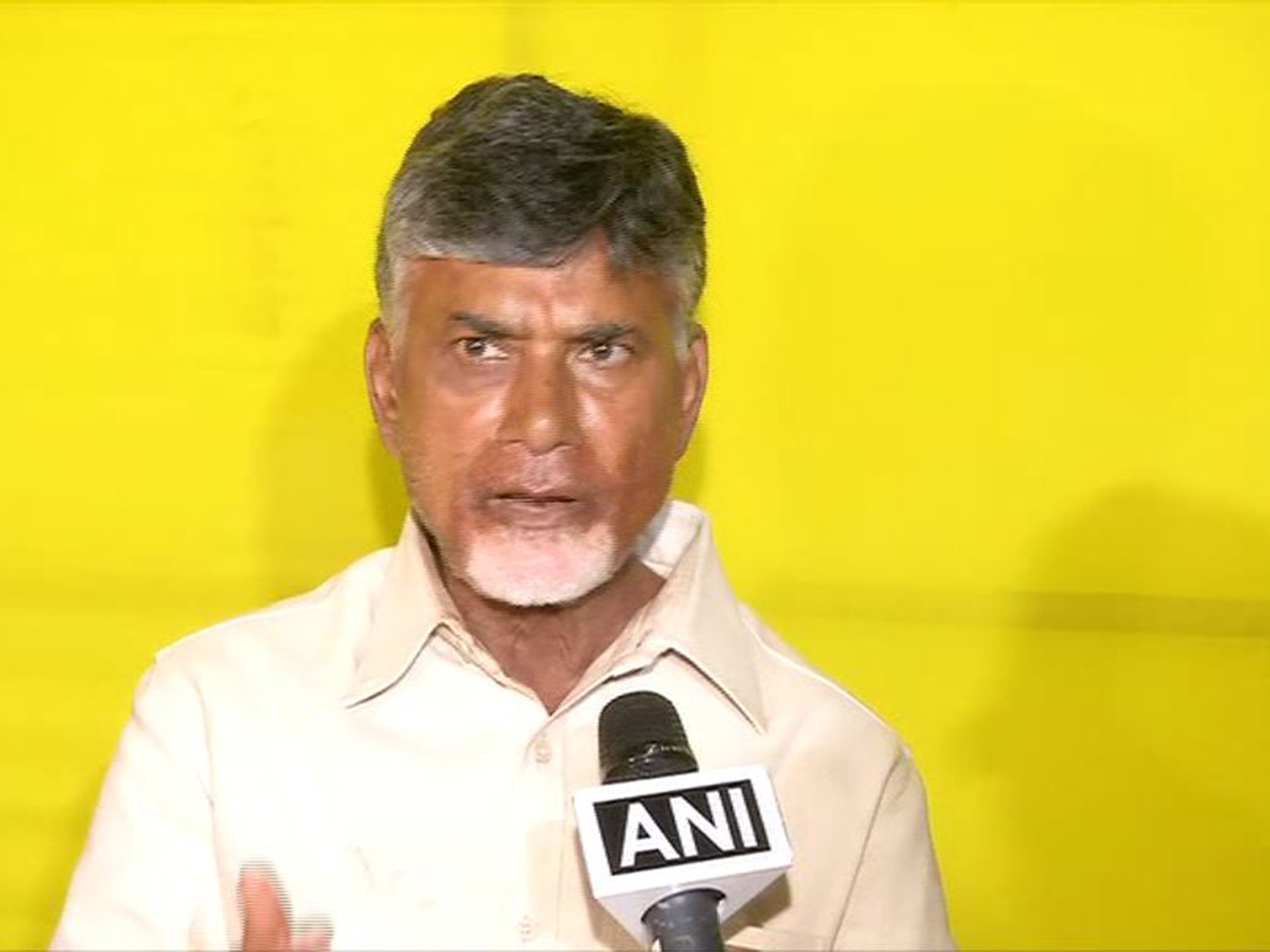 Andhra Pradesh Chief Minister Chandrababu Naidu (File Photo/ANI)