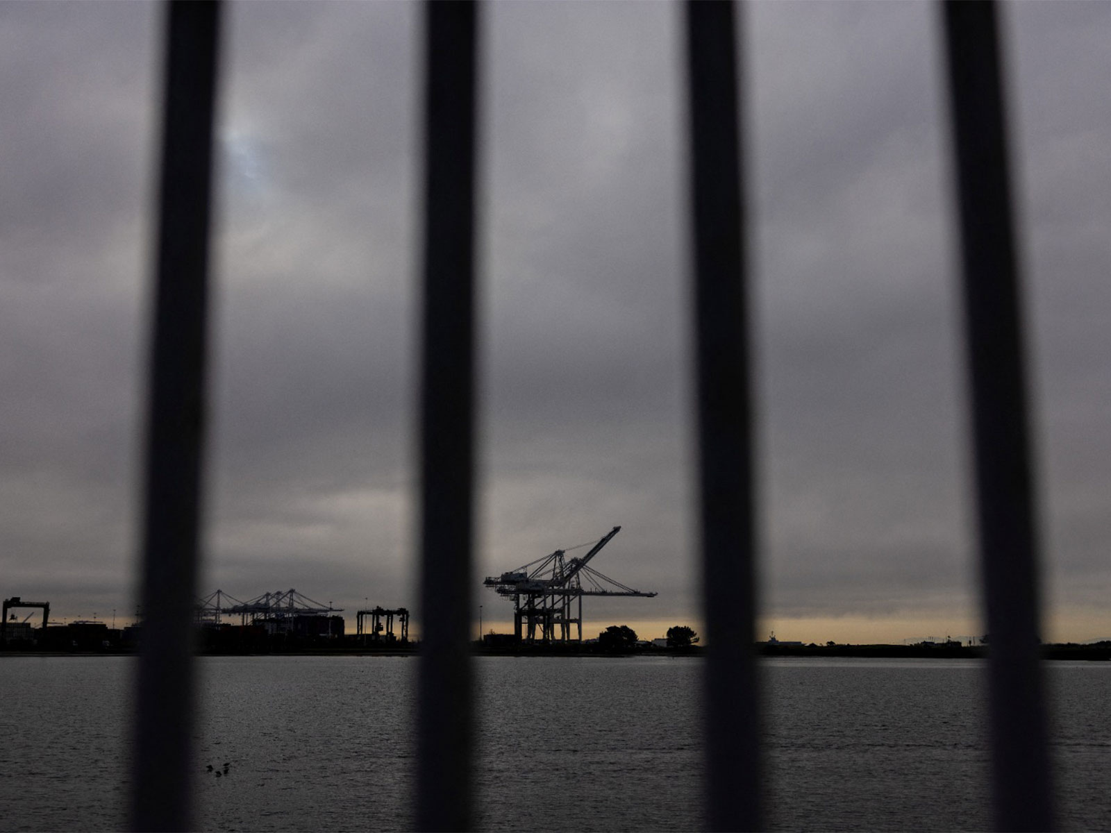 Representational Image (Photo/Reuters)