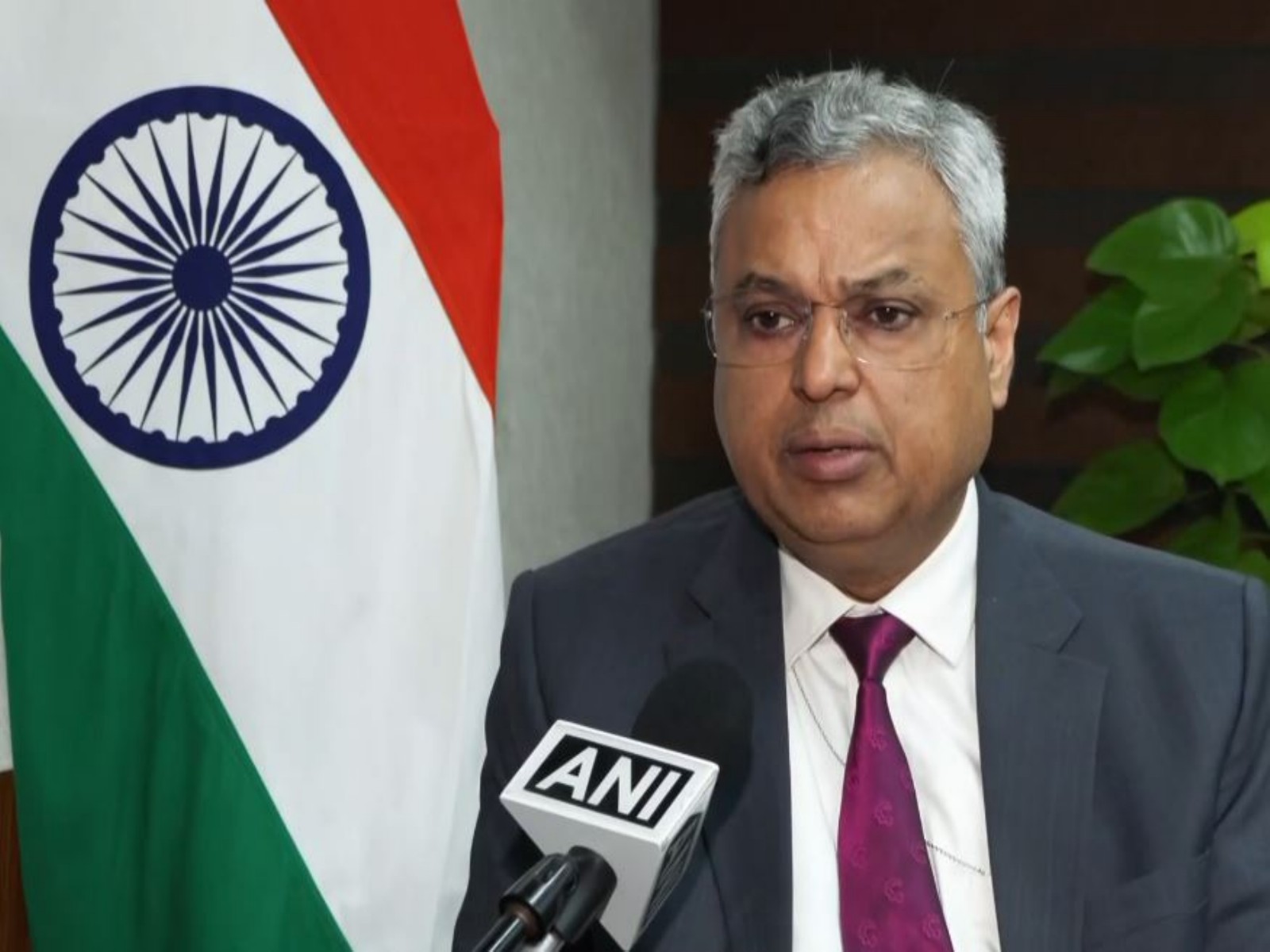 Secretary, Ministry of Statistics and Programme Implementation (MoSPI), Saurabh Garg (Image: ANI)