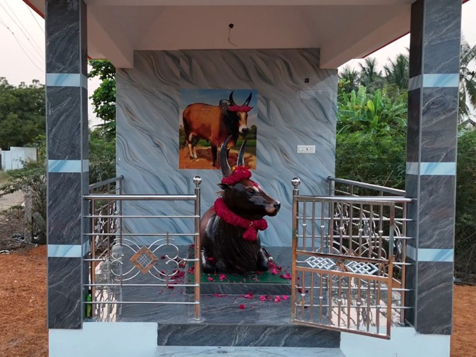 Trichy family builds memorial for prize-winning Jallikattu bull 'Senkuricki Sevalai' (Photo/ANI)