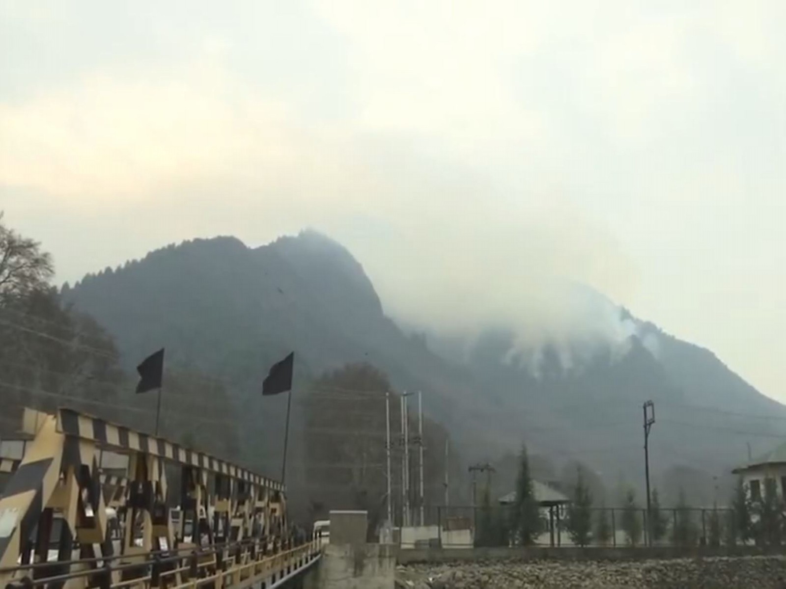 Visuals from the Zarbawan forest in Jammu and Kashmir (Photo/ANI)