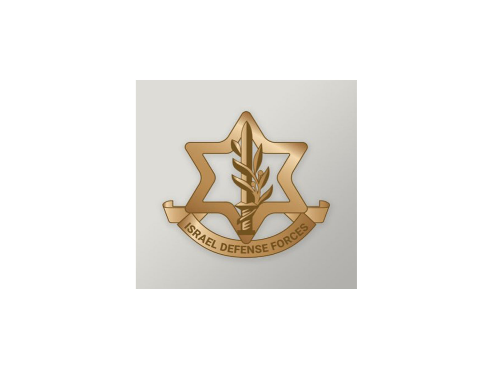 Logo of the Israel Defense Forces (IDF). (Photo: X/@IDF)