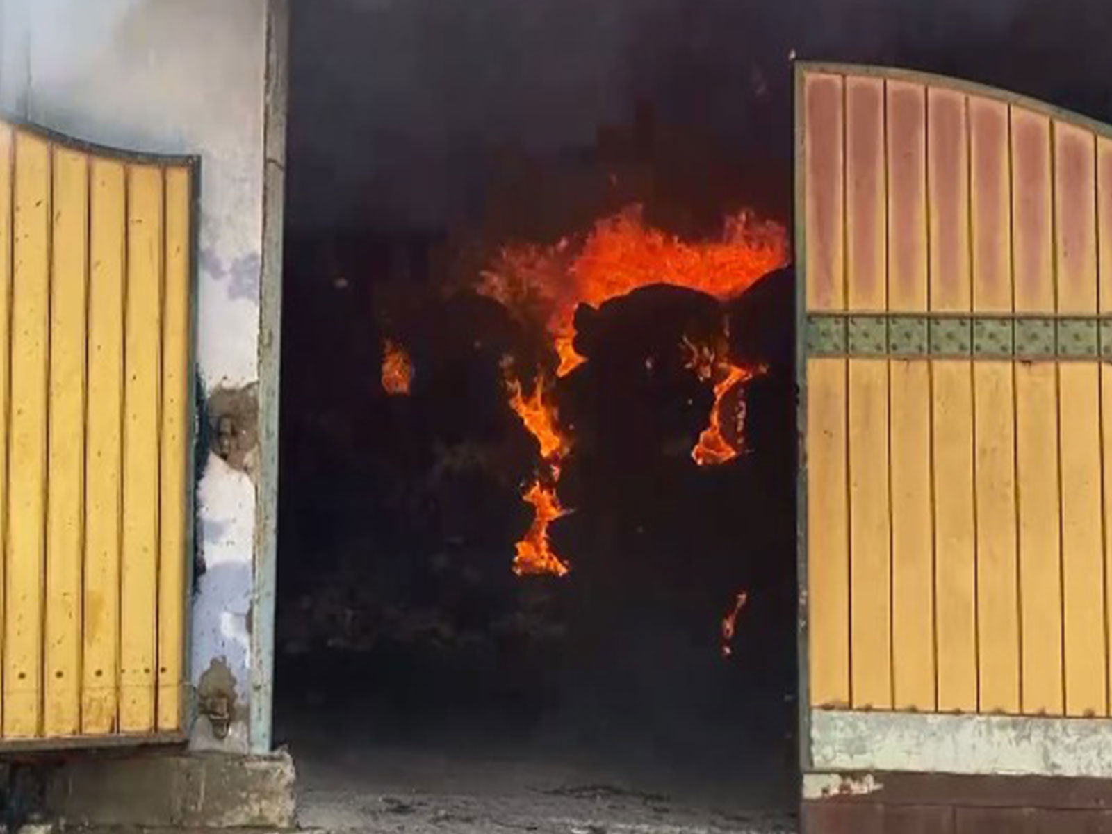 Fire breaks out at private factory in Thoothukudi (Photo/ANI)