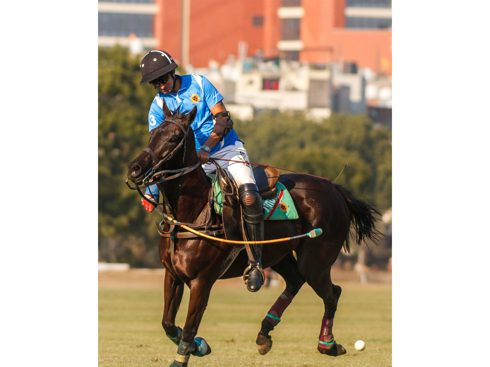 A player in action during a polo match. (Photo/Jindal Polo)