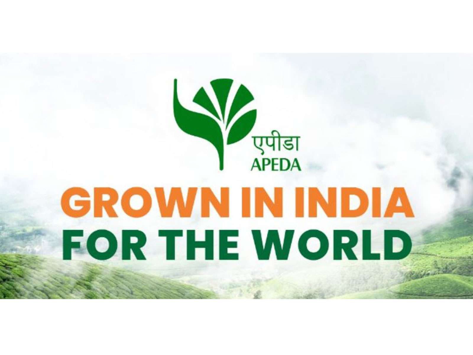 GI-tagged joha rice from Assam exported to UK, Italy (Photo/ X @APEDADOC)