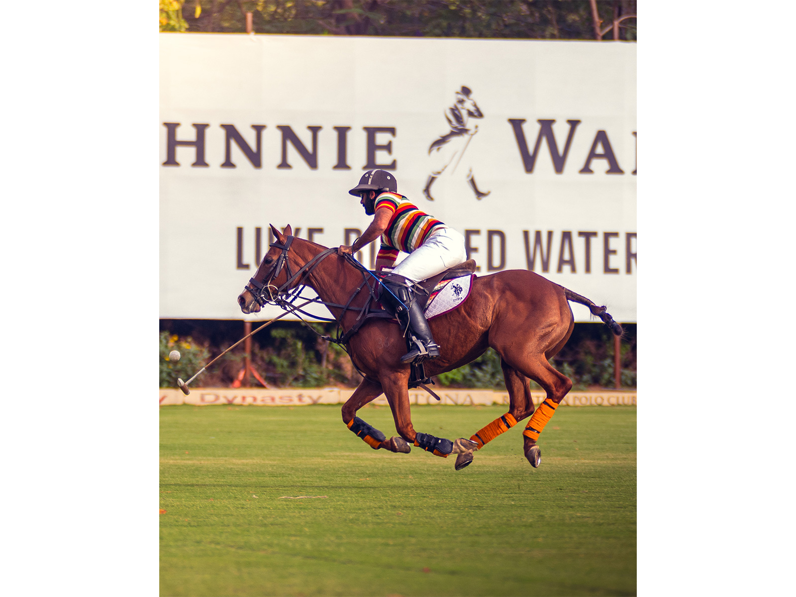 Jaipur registers commanding win over Nahargarh. (Photo/Jaipur Polo team) 