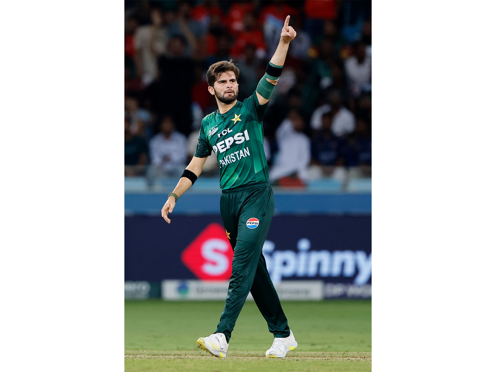 Pakistan's Shaheen Afridi (Photo: ANI)