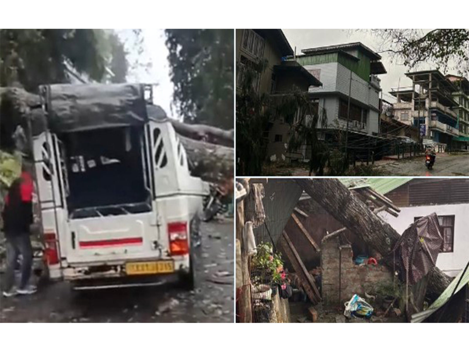 Tree falls on vehicle amid severe weather in Sikkim (Photo/ANI)