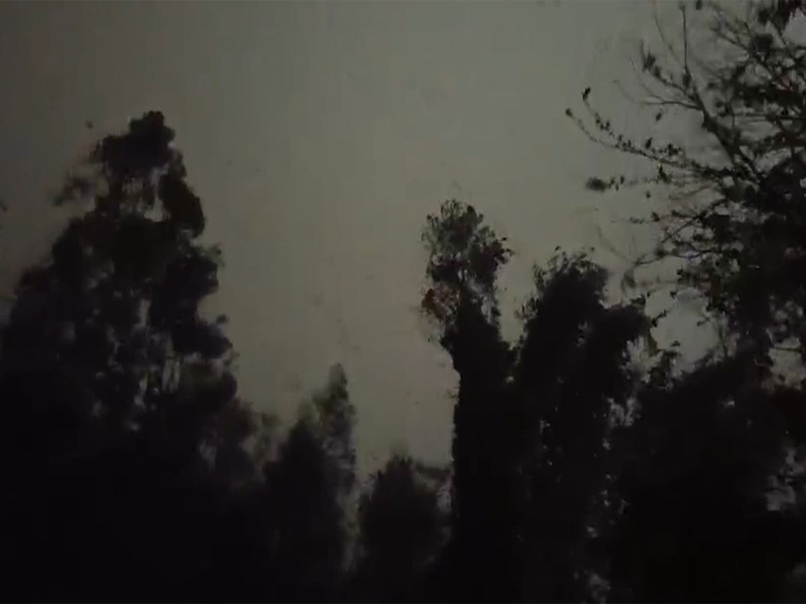 Strong winds and heavy rainfall occures in parts of Sikkim. (Photo/ANI)