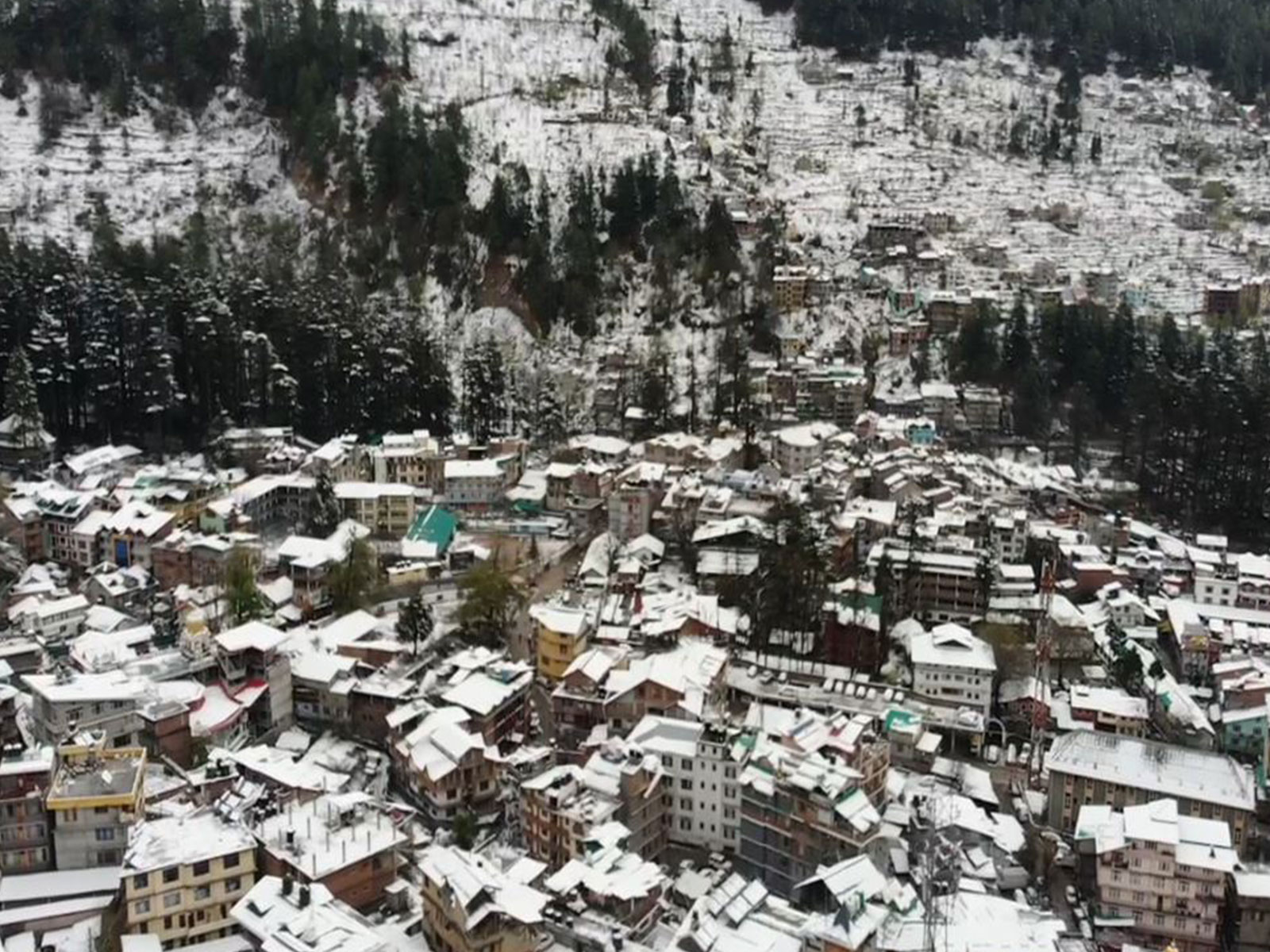 Fresh Snowfall Blankets Manali (Photo/ANI)