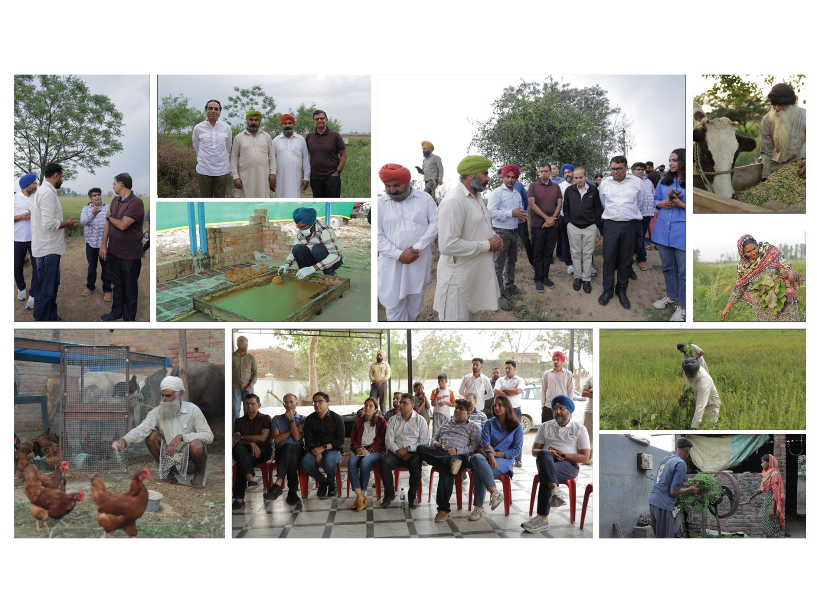 PwC India Foundation strengthens climate resilient livelihoods for more than 400 farming households through flood recovery initiatives