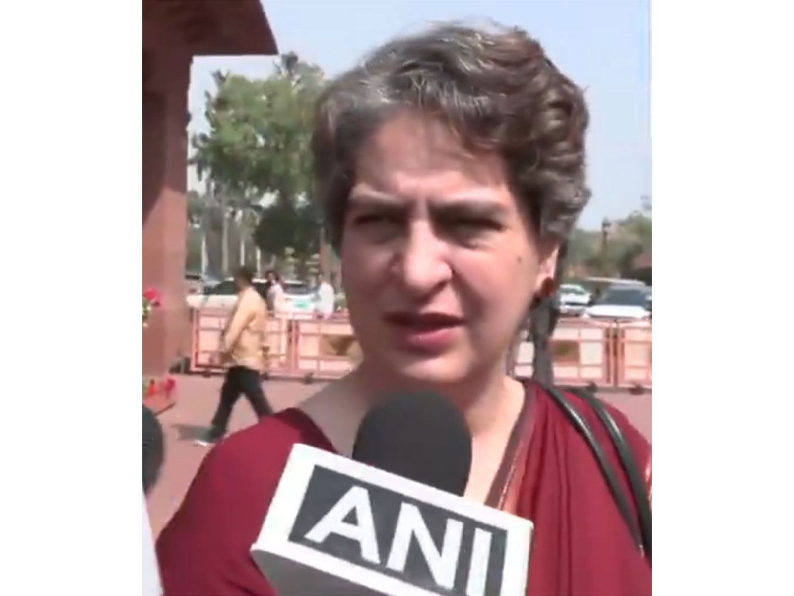 Congress MP Priyanka Gandhi  (Photo/ANI)