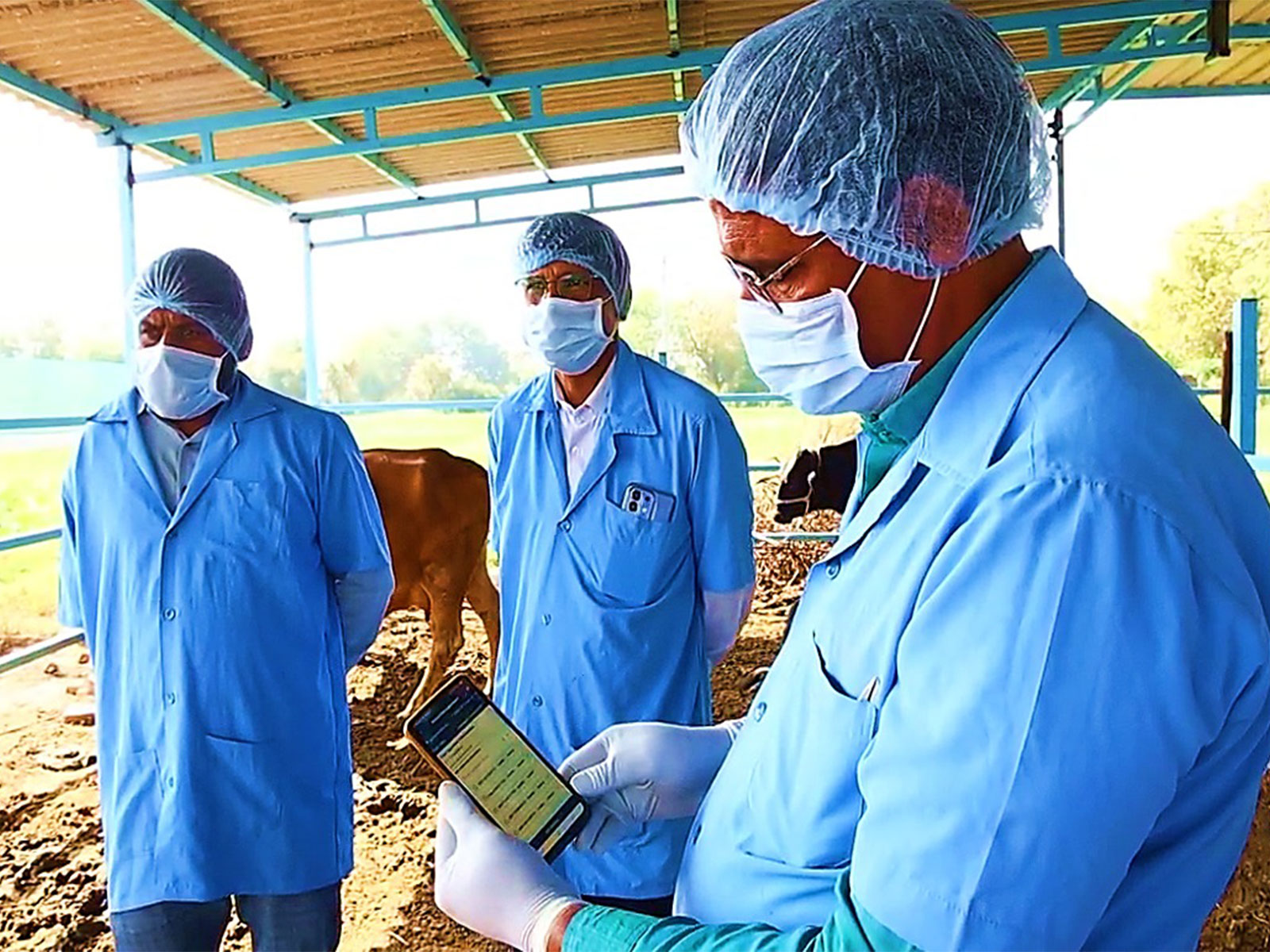 Visuals from the vaccination campaigns (Photo/ANI)