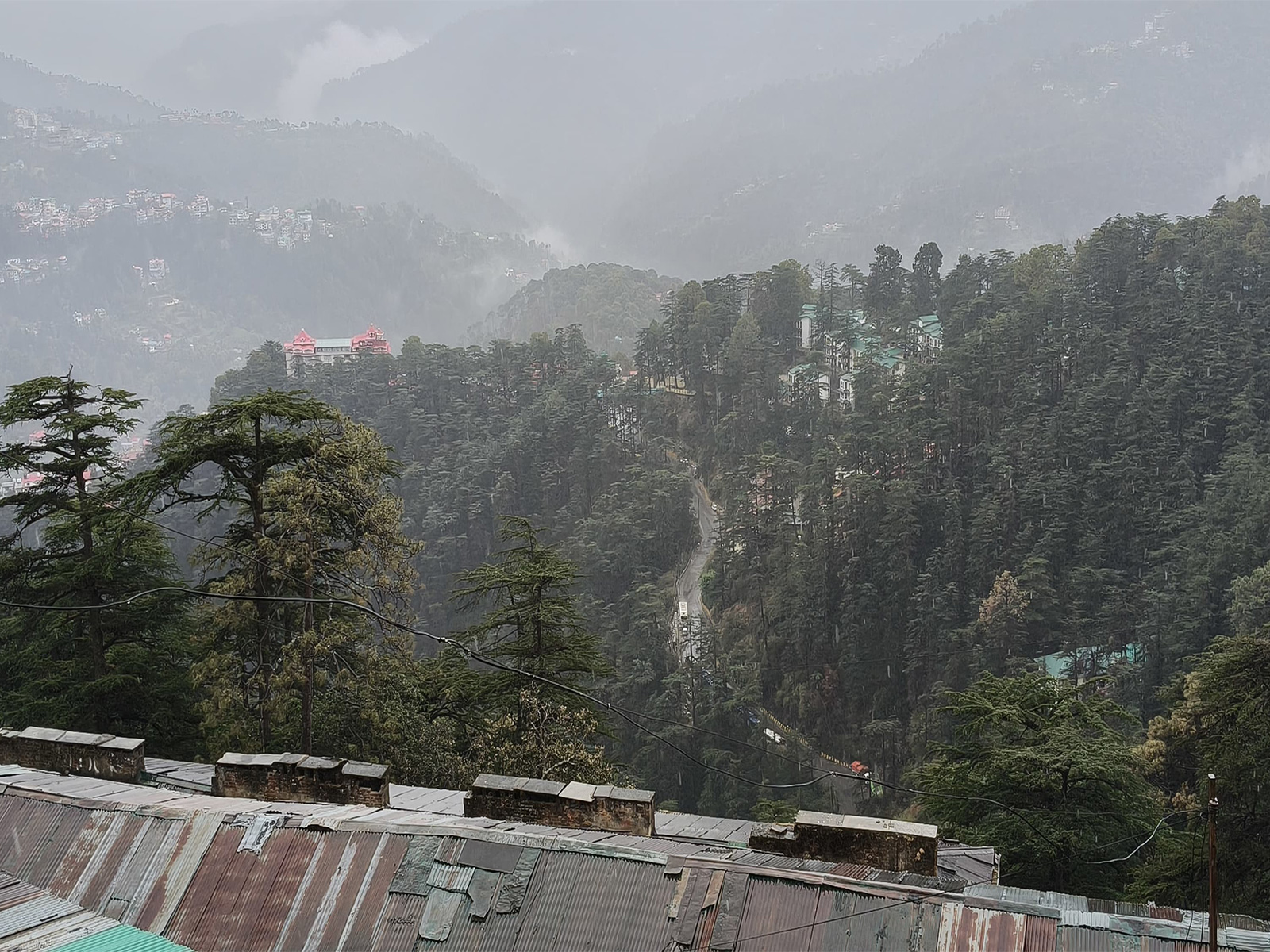 Visual from Shimla (Photo/ANI)