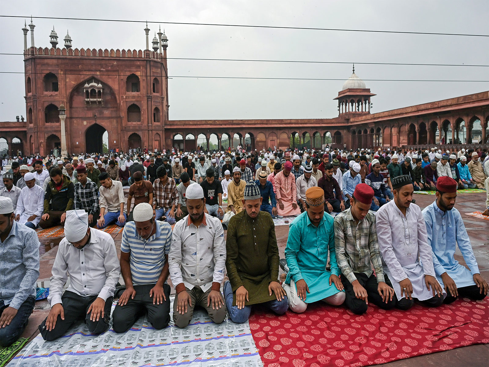Devotees offering Namaz (Photo/ANI)