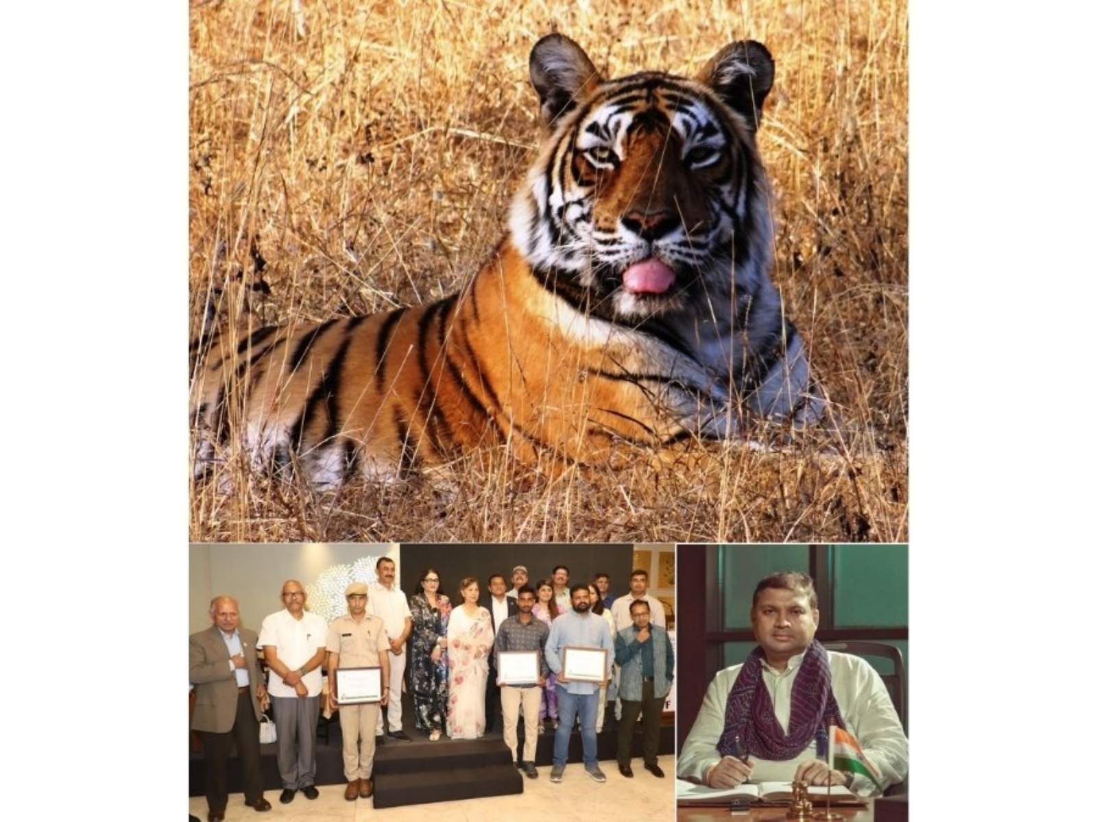 PKF managing trustee, Sundeep Bhutoria (inset). PKF and World WWF-India will jointly present the 6th 'Machhli & Vanya Prani Mitra Awards' in Jaipur.